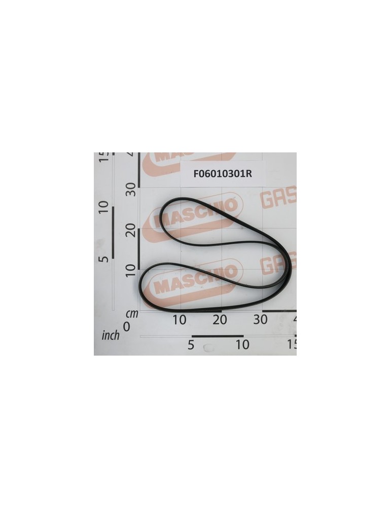 BELT POLY-V MOTOR 4045