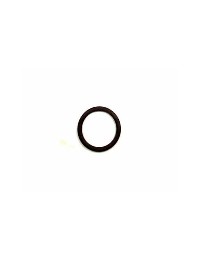 O-Ring 17288781