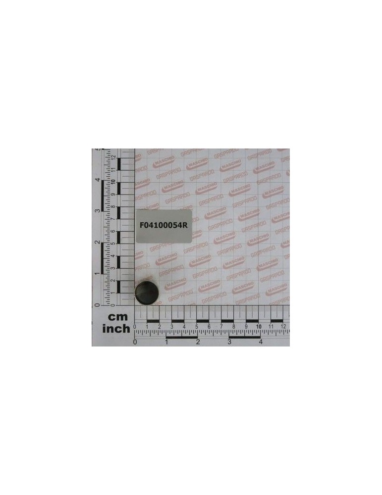 Maschio Gaspardo RULMENT AUTOLUBR.18X20X20 F04100054R