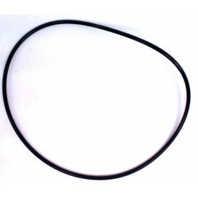 O-Ring 86977780