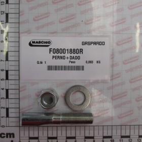 PIN WITH NUT