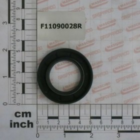 SEALING RING0952BRG30X52X8