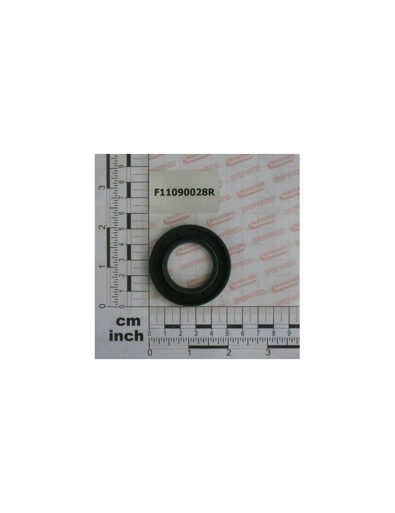 SEALING RING0952BRG30X52X8
