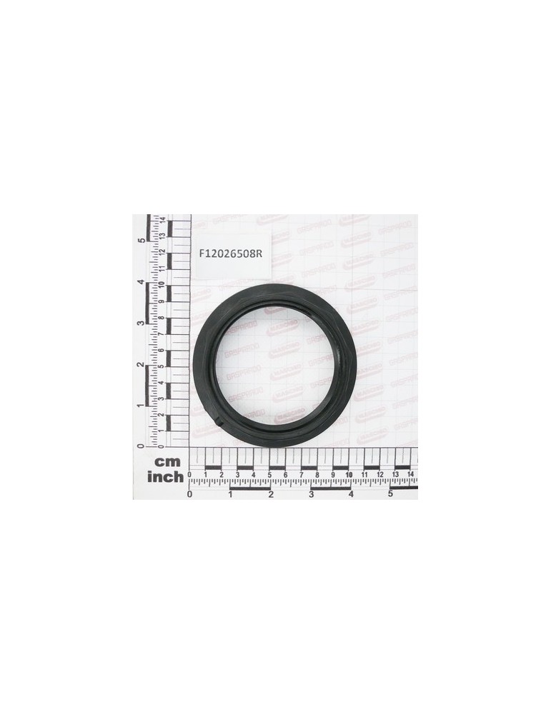 RING NUT G2\"1/2