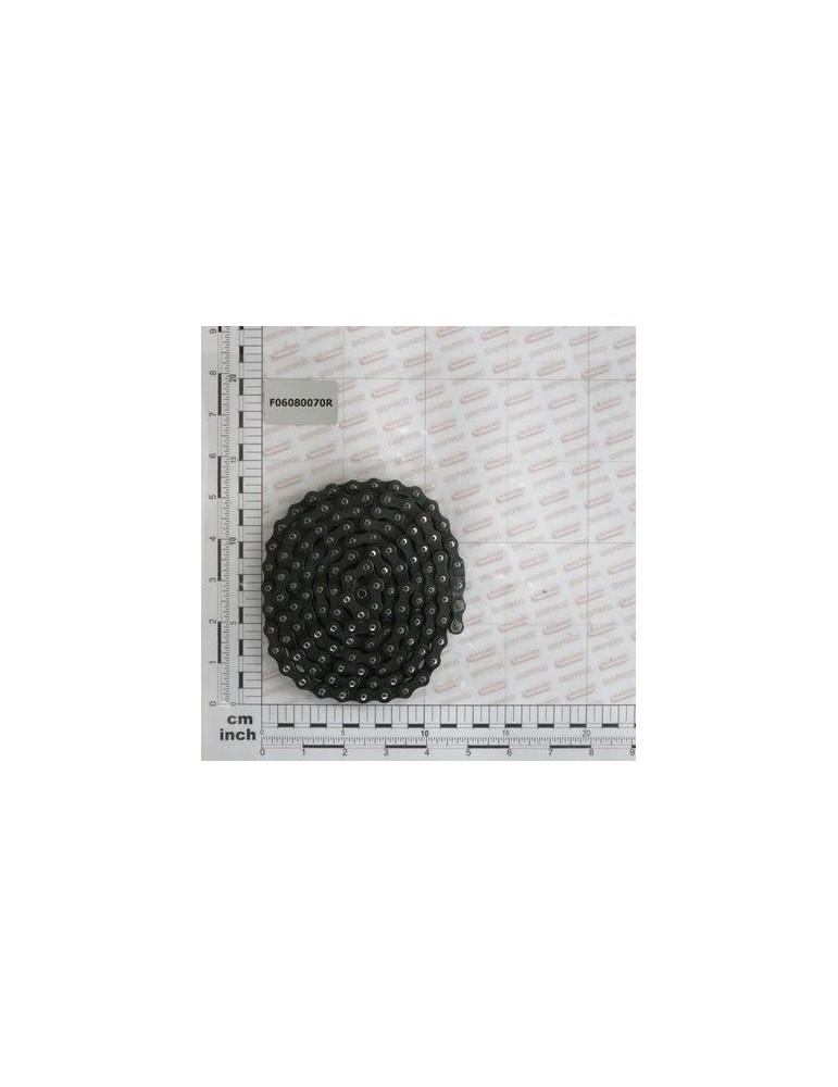 Maschio Gaspardo SP.LANT1/2-3/16 129 OCHIURI F06080070R