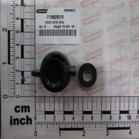 HEAD WITH SEAL