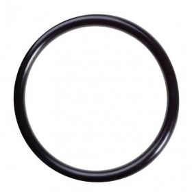 O-Ring 217408