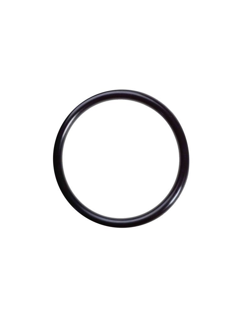 O-Ring 217408