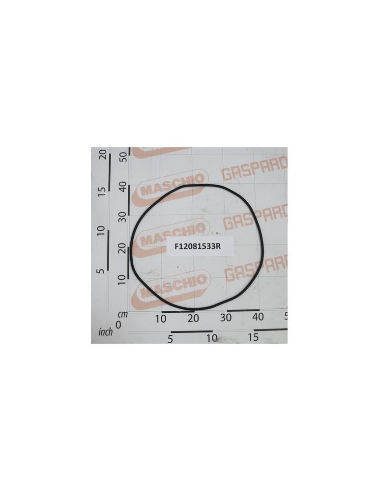 GASKET FOR COVER TANK H2O