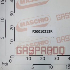 LABEL       GASPARDO  353X 67