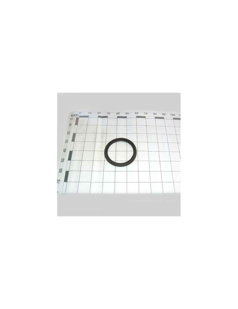 Maschio Gaspardo ANVELOPA FARMF. MT 1ï¾´ï¾´X12ï¾´ï¾´ F06120181R