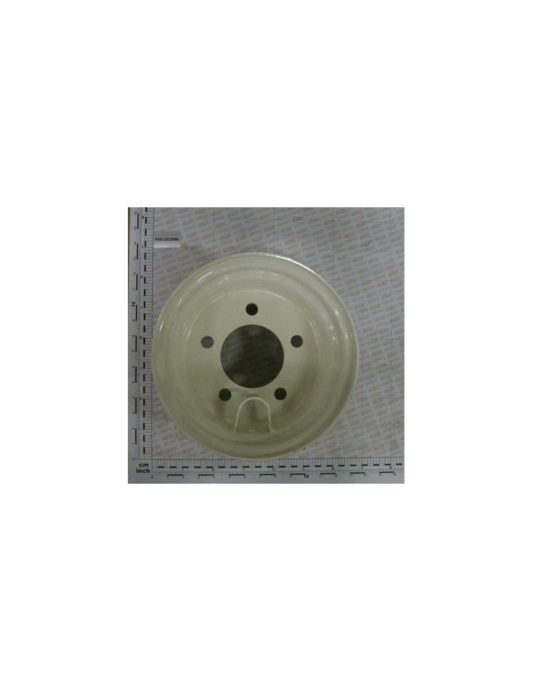 Maschio Gaspardo CERCHIO 20X8.00-10 F06120209R