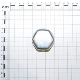 Maschio Gaspardo CAPAC BUTUC SX DP F06120239R