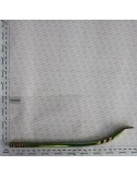 GALVANIZED BENT COIL X \'C\'