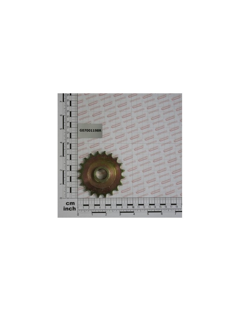 Z-20 PINION