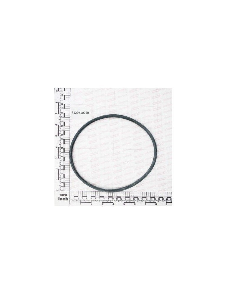 Maschio Gaspardo GUARN. CORPO FILTRO G3 MESH 50 F12071005R