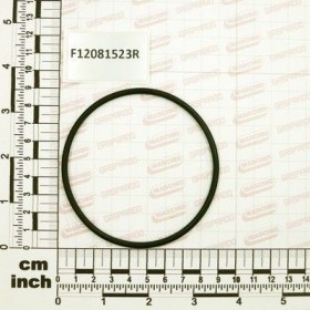 Maschio Gaspardo GUARNIZIONE G3 FORCHETTA F12081523R