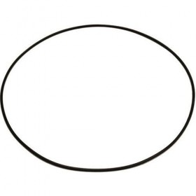 O-Ring 84262831