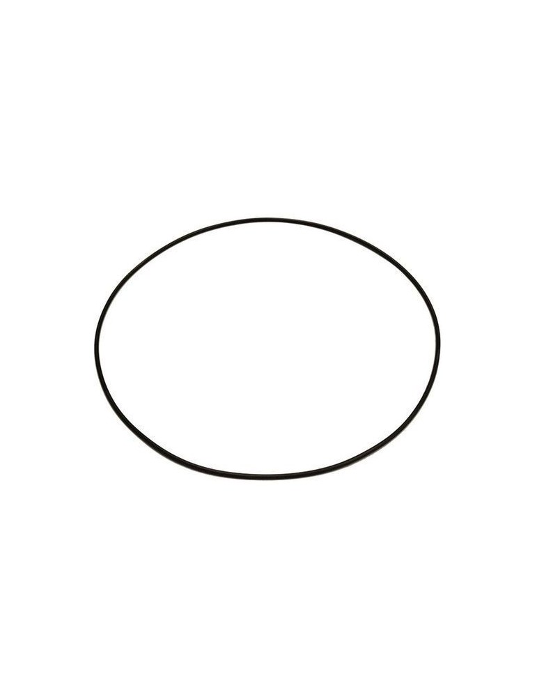 O-Ring 84262831