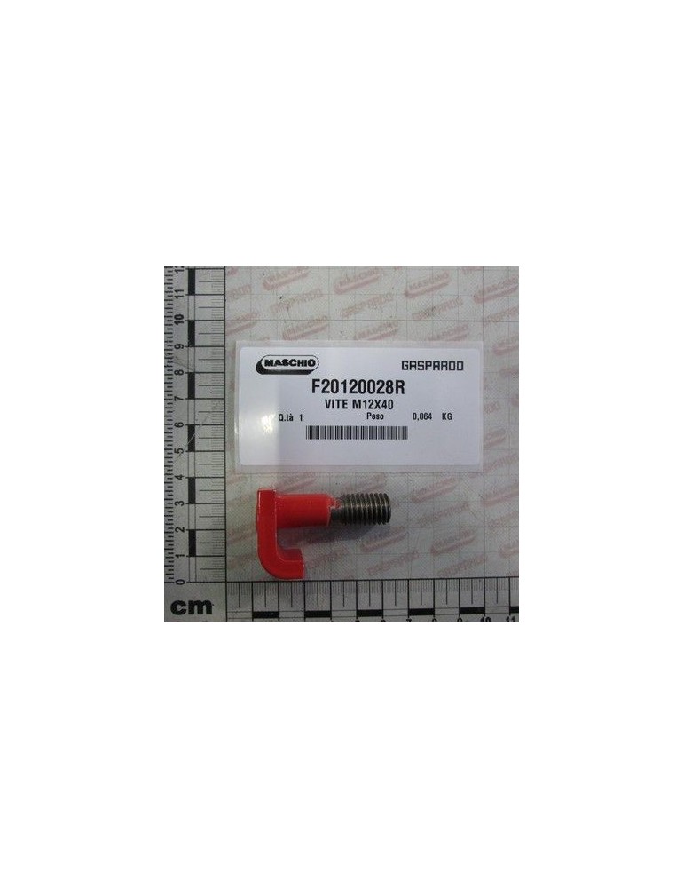 Maschio Gaspardo SURUB M12X40 F20120028R