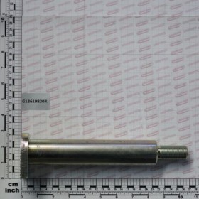 ARMS PIN