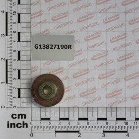SEED COVER BUSH ZN SK2