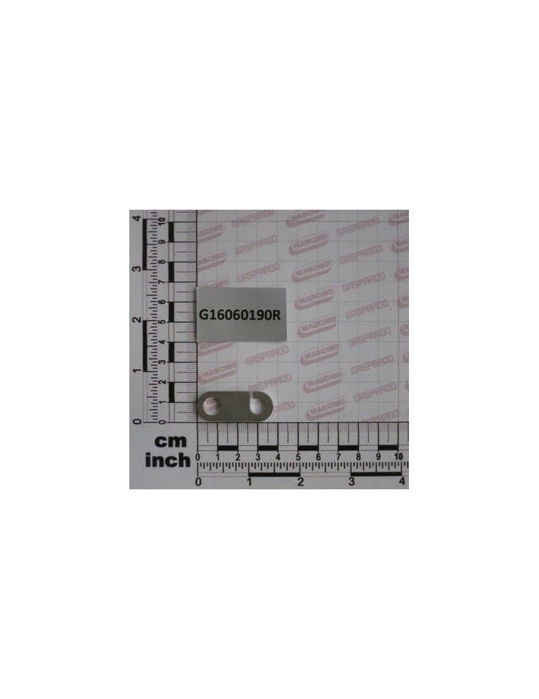 Maschio Gaspardo PLACA G16060190R