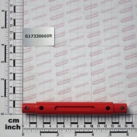 Maschio Gaspardo AX MOTOR G17330660R