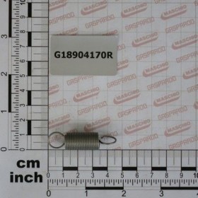 Maschio Gaspardo MOLLA SPORTELLO GRANDE G18904170R