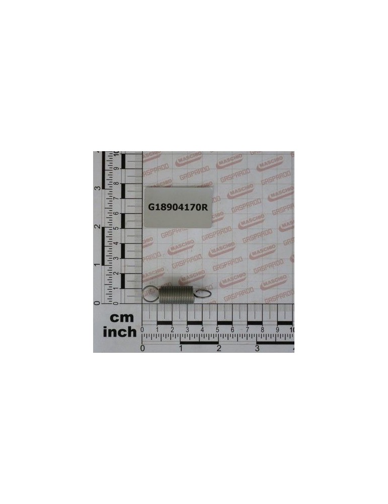 Maschio Gaspardo MOLLA SPORTELLO GRANDE G18904170R