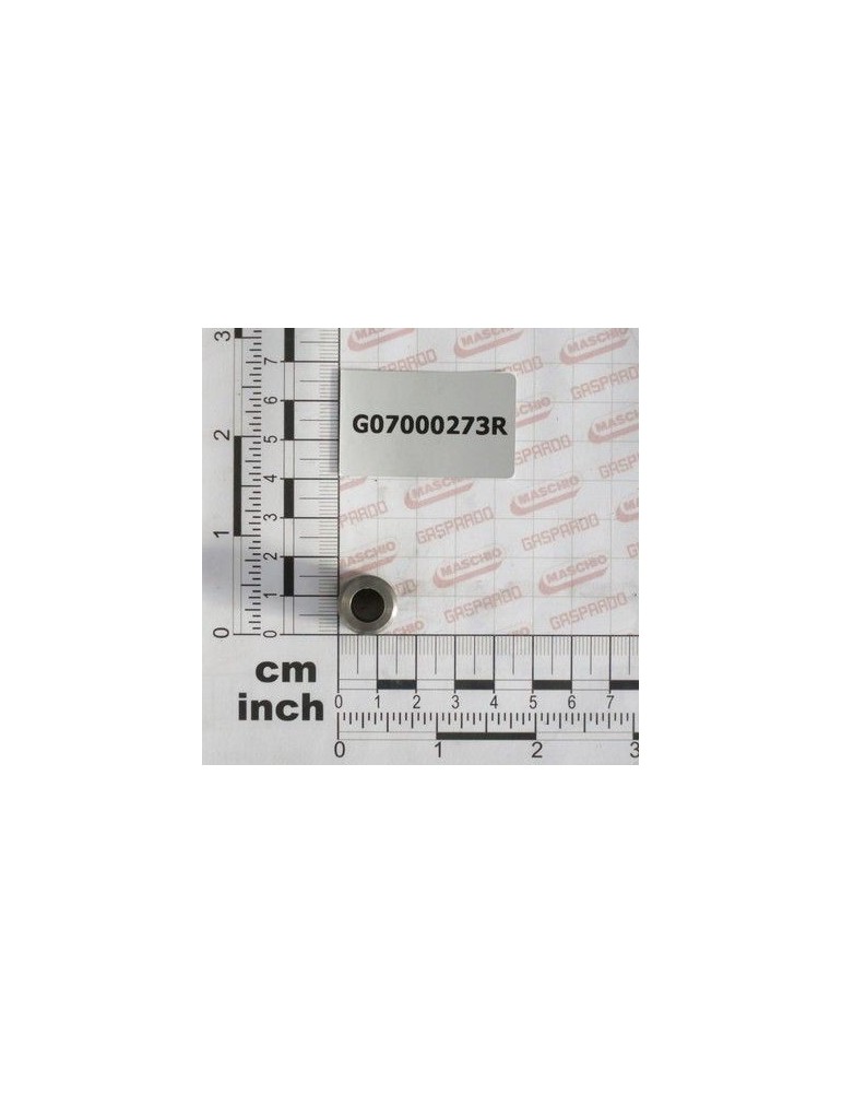 Maschio Gaspardo Rola Intinzator Lant G07000273R