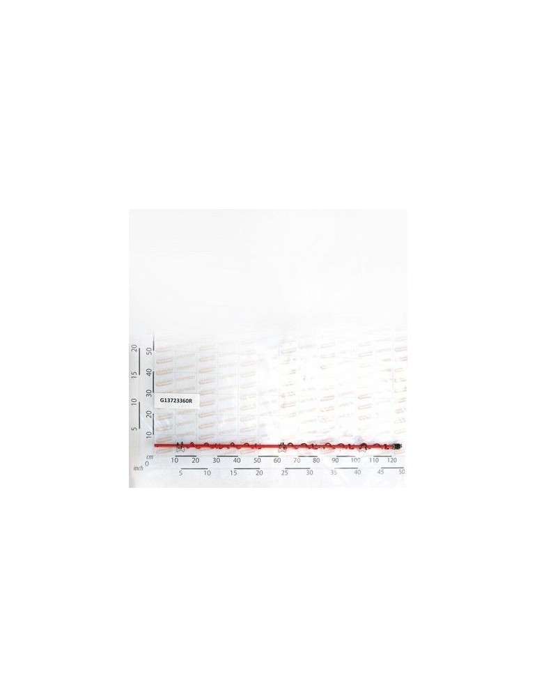 Maschio Gaspardo COCLEA DX 6U SERB.950 COMPL G13723360R