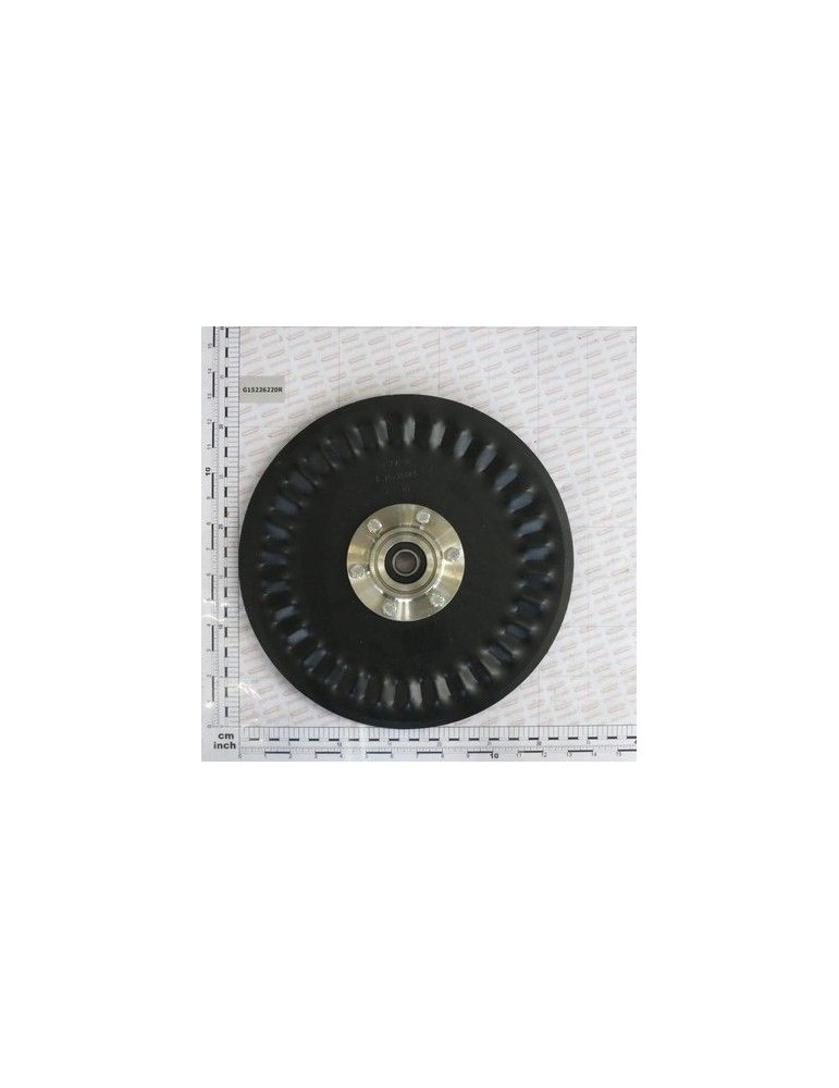 Maschio Gaspardo KIT COLTRO DISCO STRIATO 1F. G15226220R