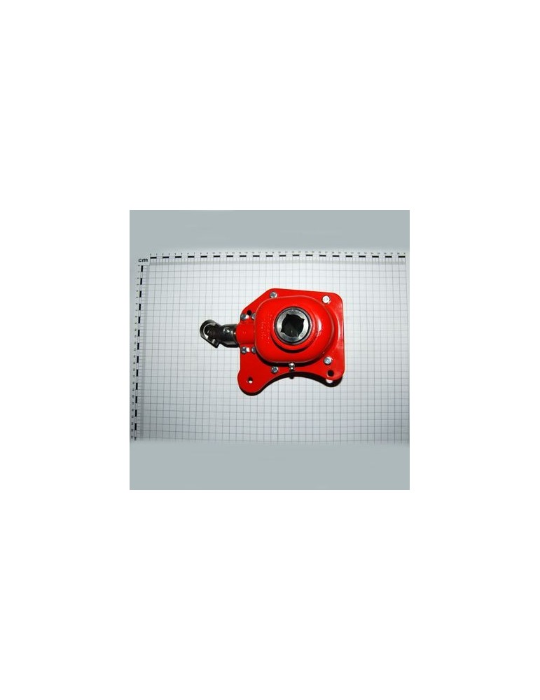Maschio Gaspardo CUTIE TRANSMISIE Q.20 DP COMPL G15325963R