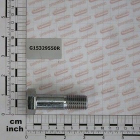 Maschio Gaspardo SURUB SPEC.M20X65 G15329550R