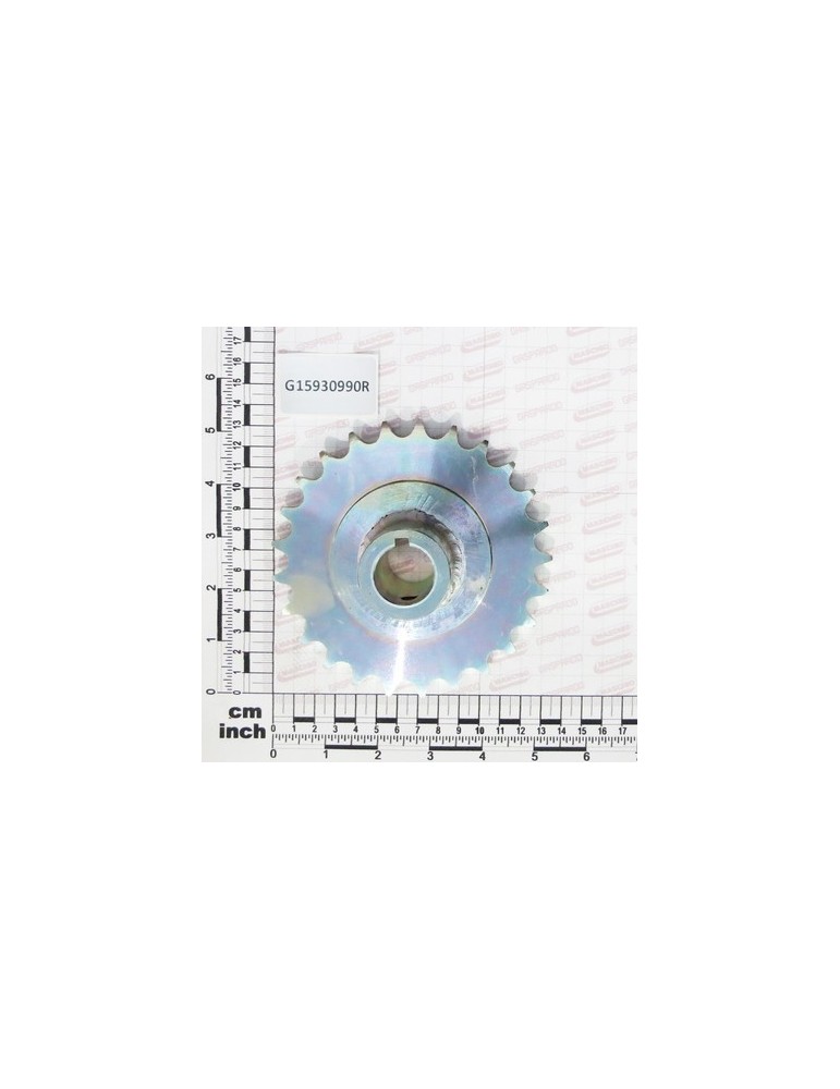 PINION Z25 5/8-3/8