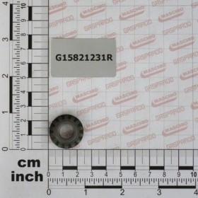 Maschio Gaspardo PINION Z14 G15821231R