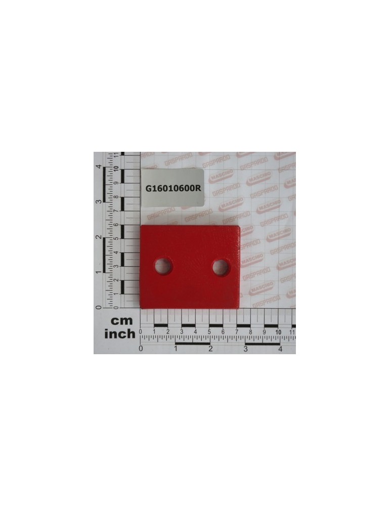 STRIKER PLATE