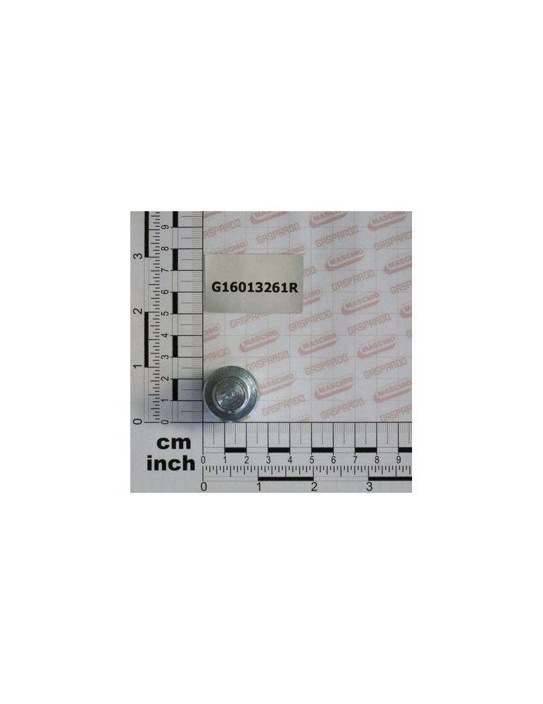 BOLT MAGNET DOOR ZN