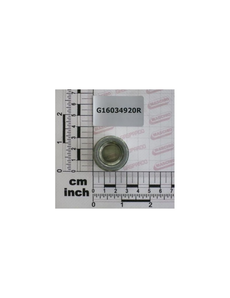 Maschio Gaspardo BUCSA 15,1X30X31 ZN G16034920R