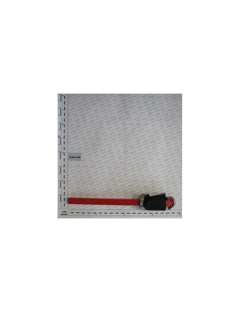 CARDAN TUBE Q.20 L.280 COMPL