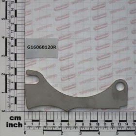 SHIMS