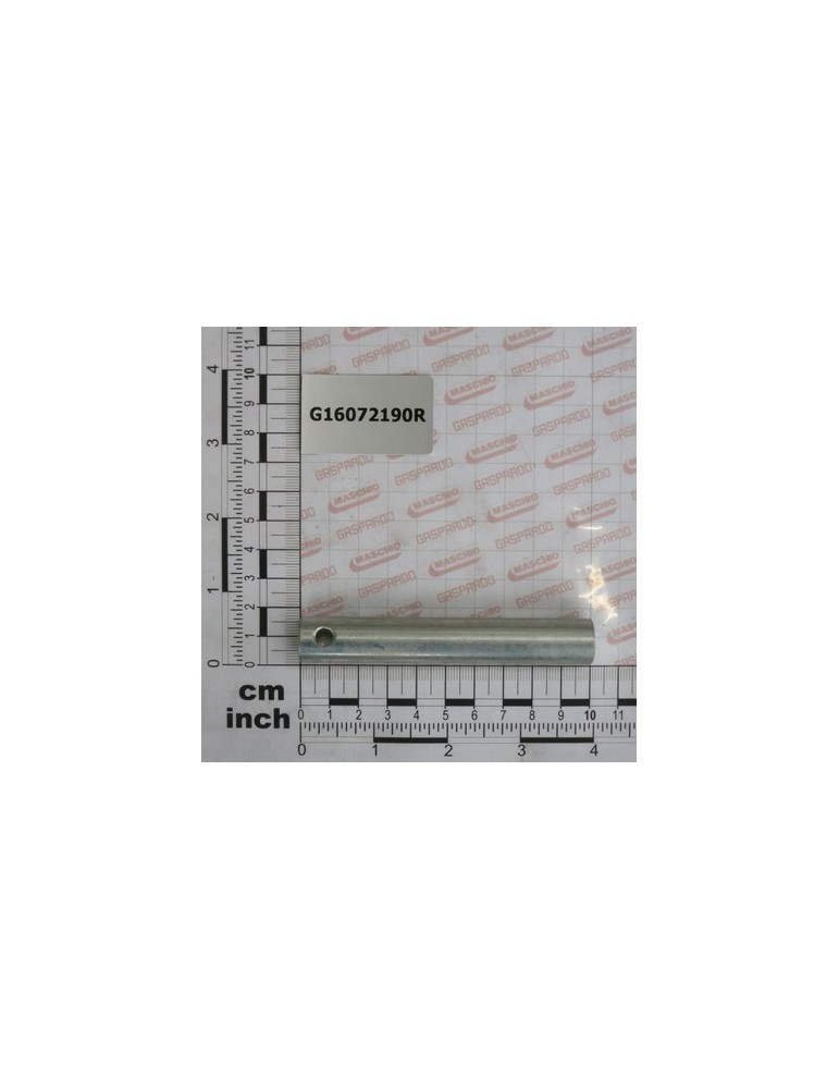 GALVANIZED PIN D.16 X100