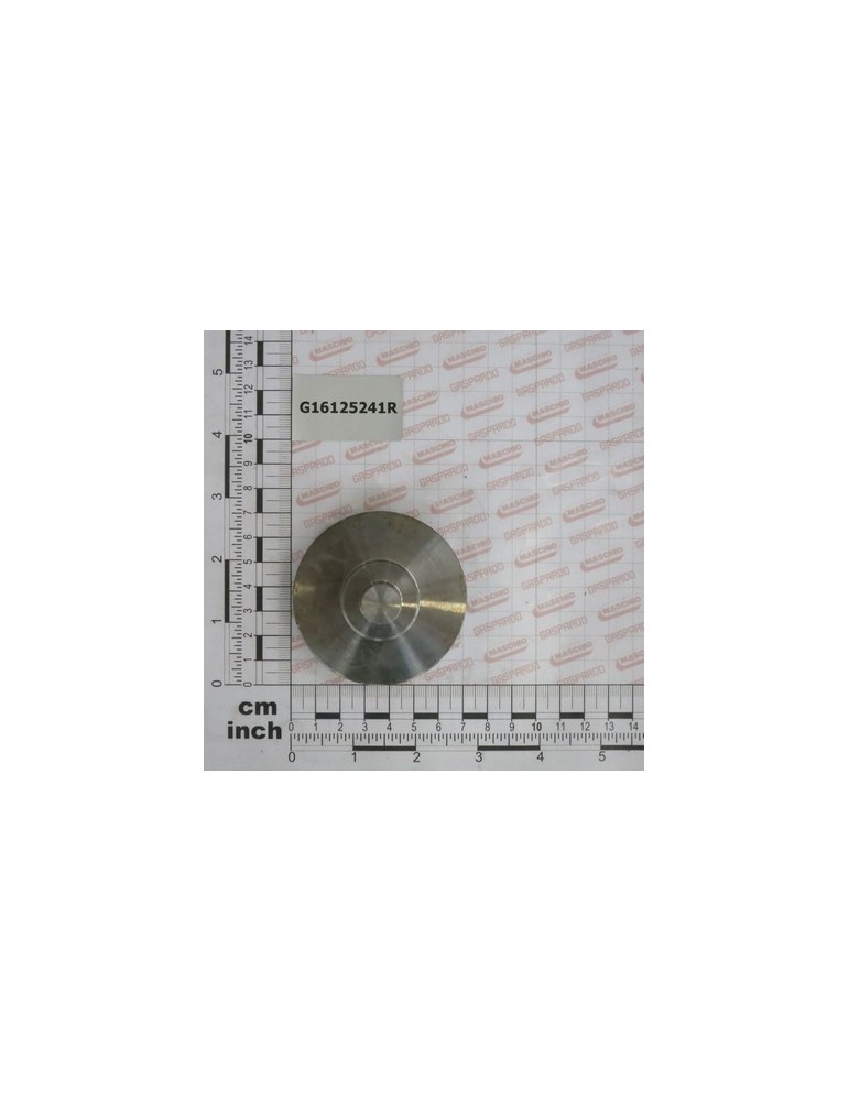 SHAFT DRIVE ROLLER