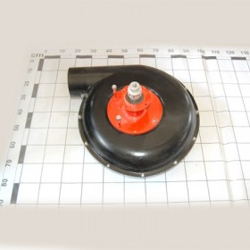 600-900 GIANT FAN TRANSFER