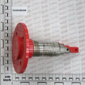 Maschio Gaspardo AX ROATA S-SC. MARIA G16918950R