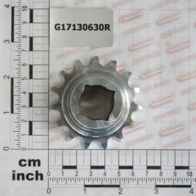 Maschio Gaspardo PINION Z-15 ZN G17130630R