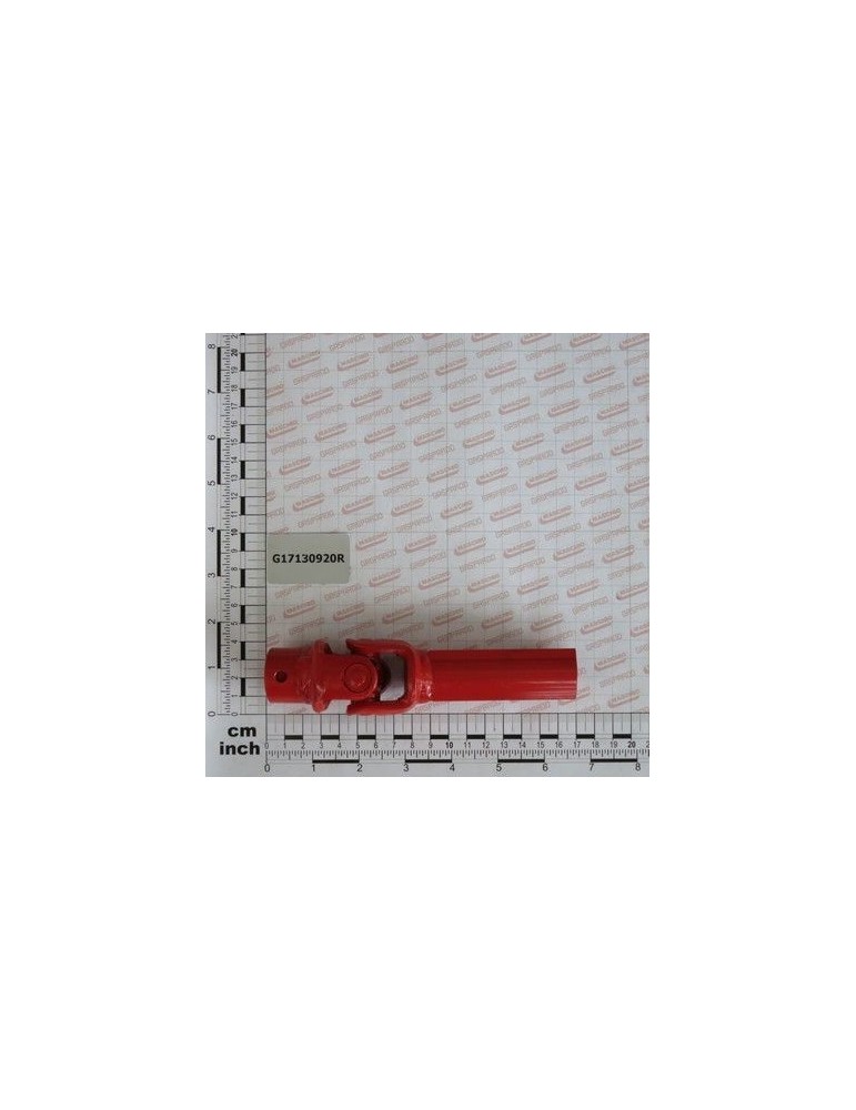 Maschio Gaspardo TUB TRANSMISIE INTERN G17130920R