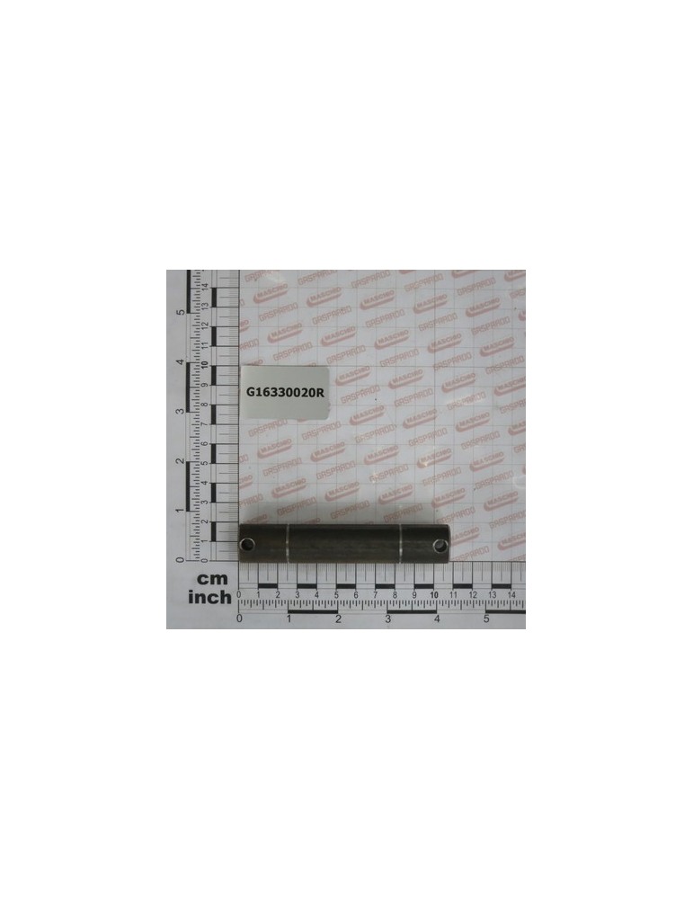 CENTRAL PIN