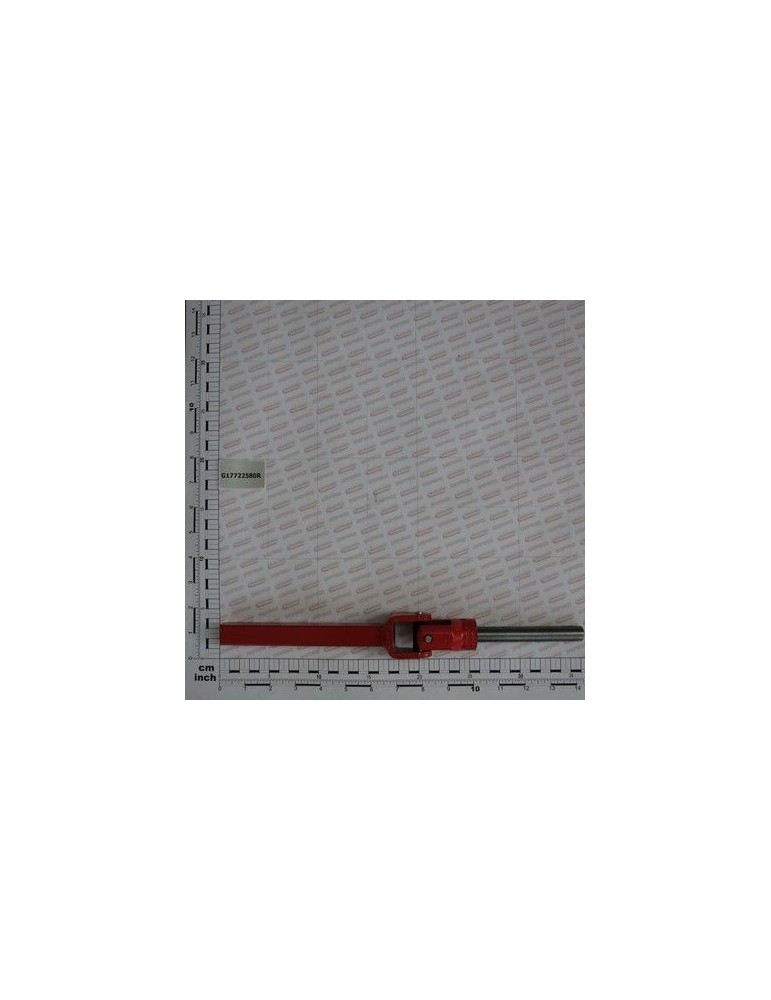 Maschio Gaspardo MONT.ASSE PORTA PIGNONE G17722580R